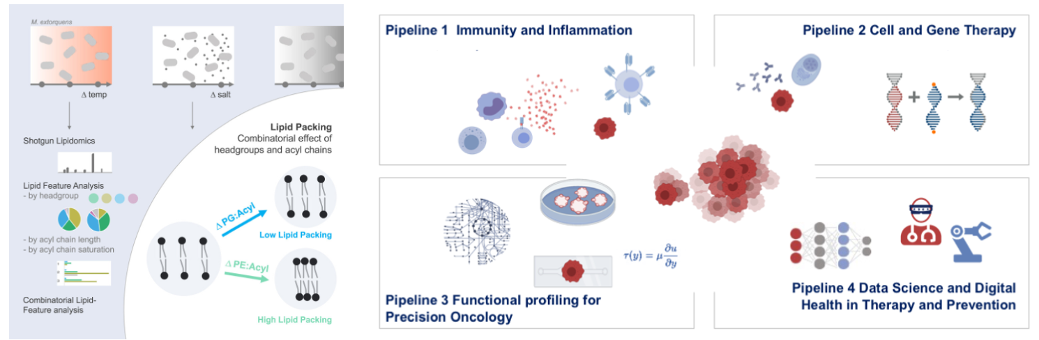 two examples of graphilca abstracts, left for a microbiology study showing the pipeline of lipidomic analysis, and right, for a grant on advanced cancer reesearch with four topics, immumnity, gene therapy, functional profiling, and digital health
