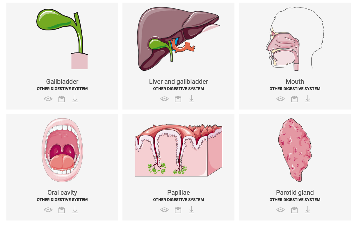SmartServier icons: detailled