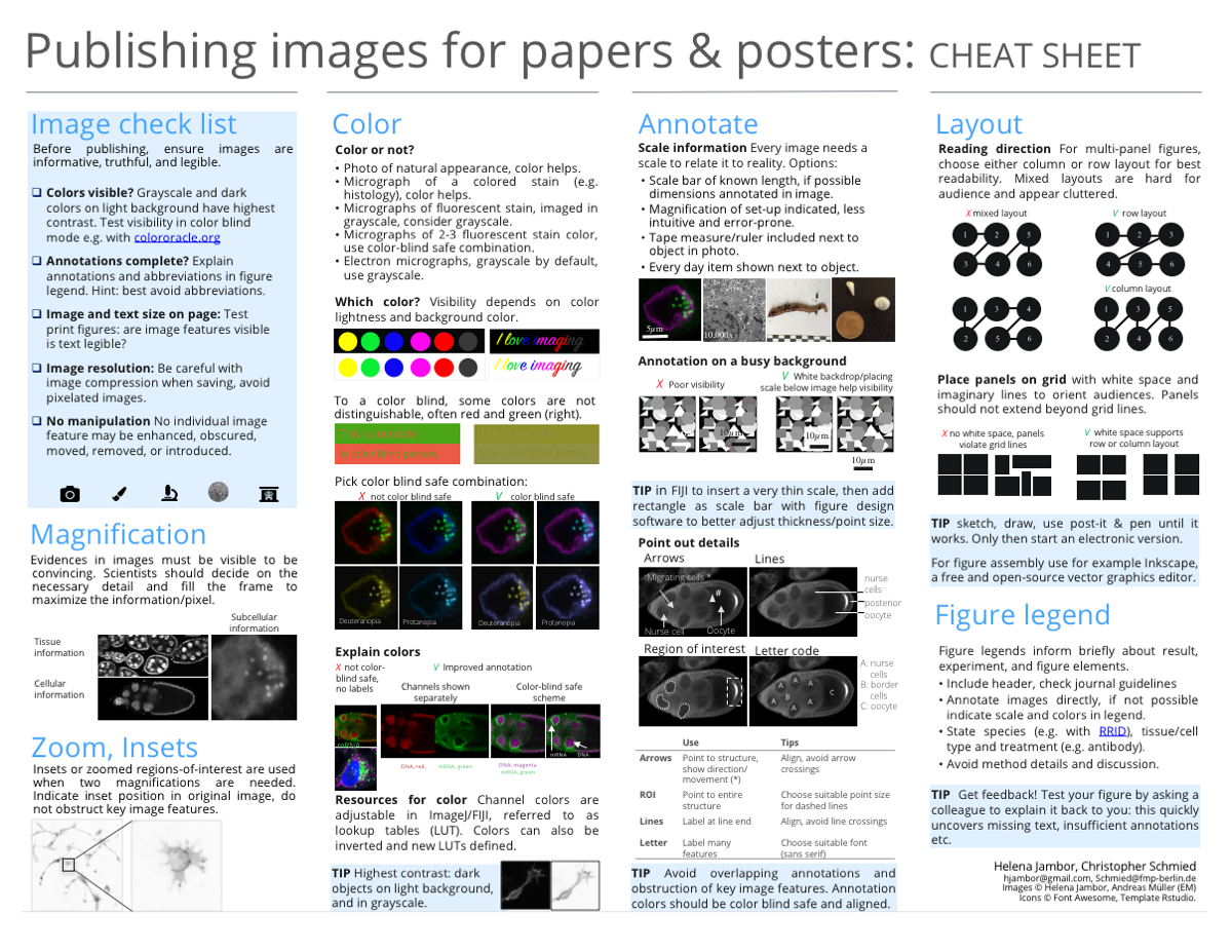 Cheat sheet that explains all steps and commands in FIJI to process and image for publication